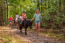 Manege bij Camping Samoza in het bos op de Veluwe VMP090